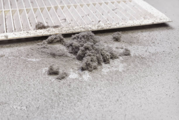 Best Affordable HVAC Duct Cleaning  in Elizabeth Lake, CA