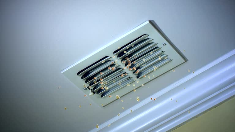 Best Affordable Duct Cleaning Services  in Elizabeth Lake, CA