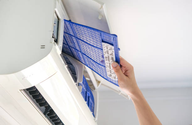 Air Duct Mold Removal in Elizabeth Lake, CA